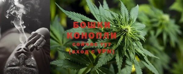 ПСИЛОЦИБИНОВЫЕ ГРИБЫ Сатка