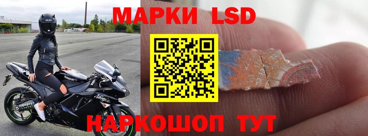 ЛСД экстази ecstasy Сокол