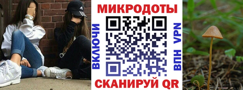 Галлюциногенные грибы мицелий  Сокол 
