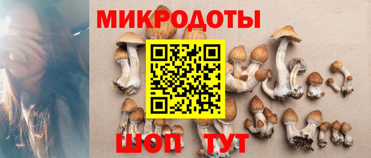 Галлюциногенные грибы ЛСД  Вход с VPN  Сокол  Галлюциногенные грибы Magic Shrooms 