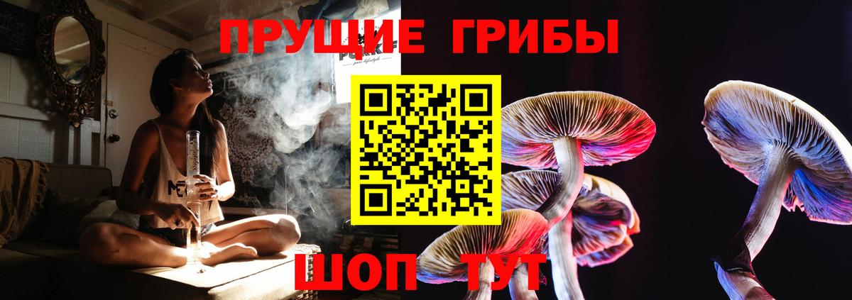 Галлюциногенные грибы мухоморы Сокол